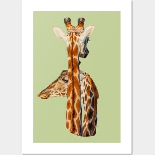 Giraffe I have got yoiur back! Posters and Art